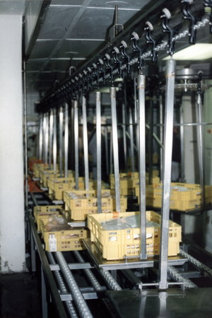 Poultry Industry Conveyors